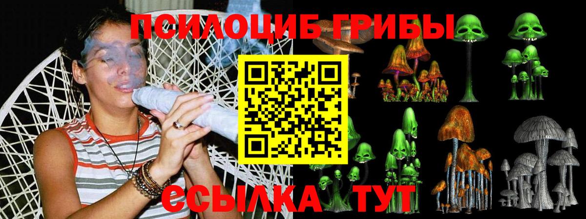 Скопин  купить наркоту  Псилоцибиновые грибы Psilocybe  Вход с VPN  Галлюциногенные грибы прущие грибы 